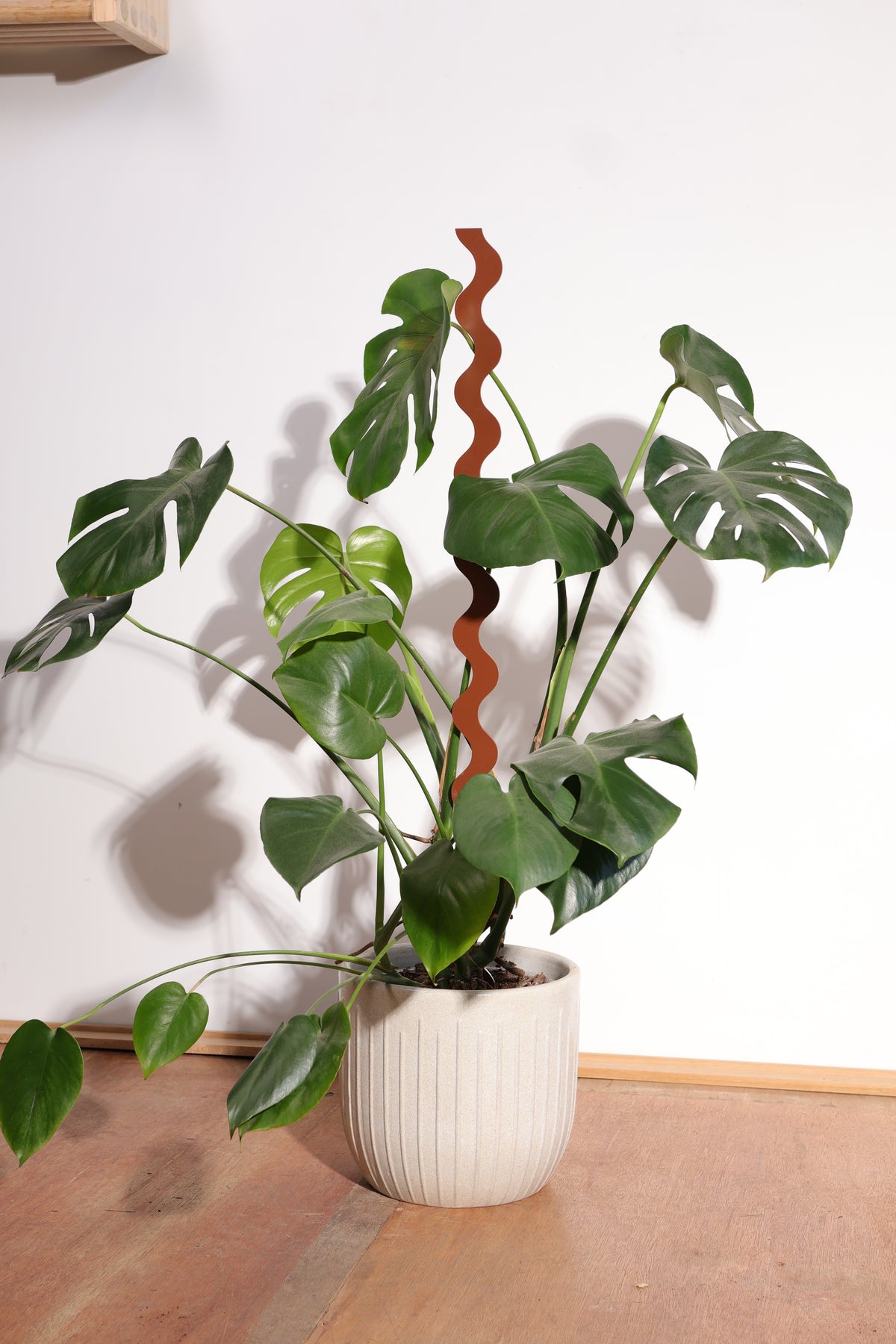 Wave III Plant Stake - Natives - Medium - Triple Pack
