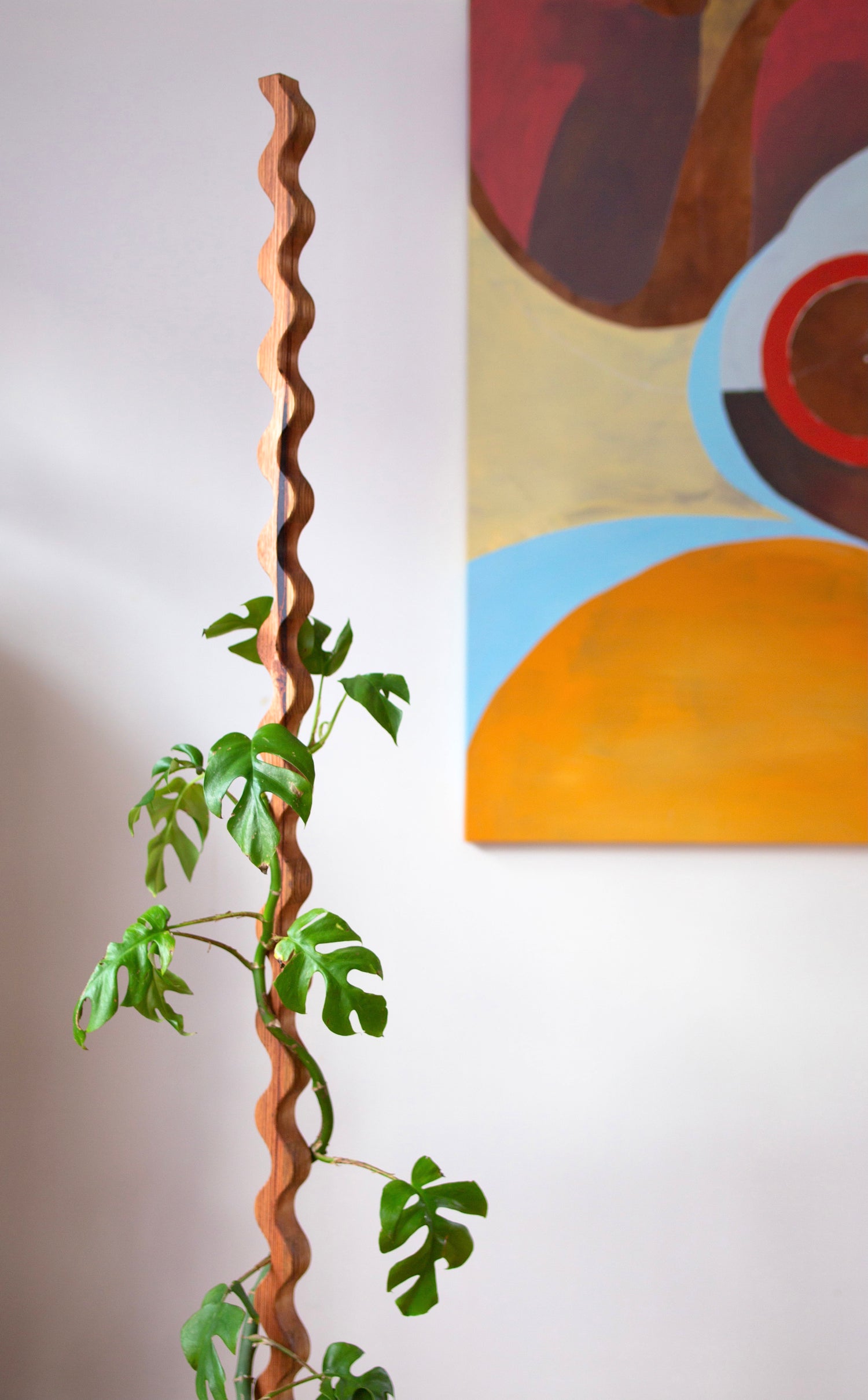 Wood - Plant Stakes