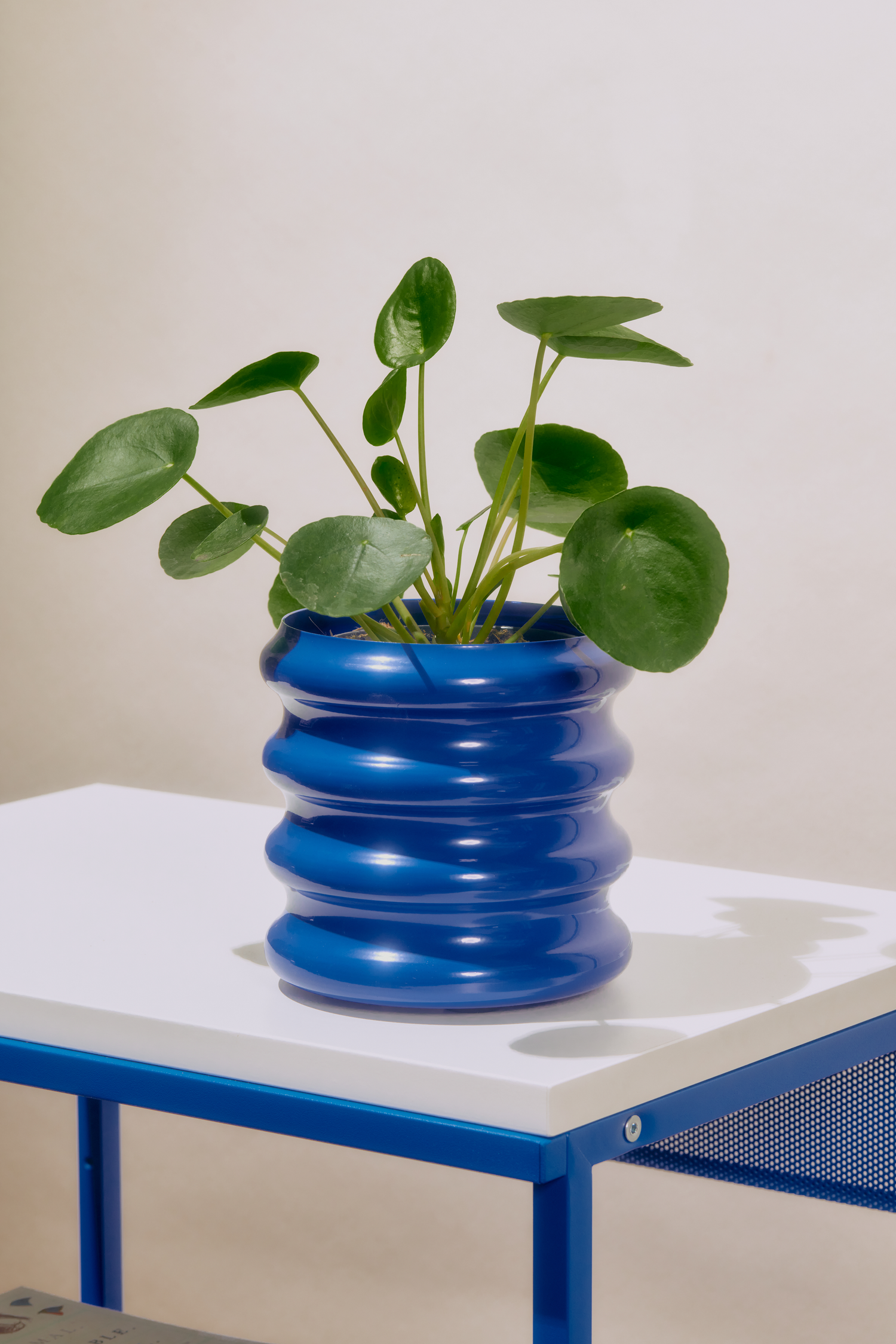 Planters