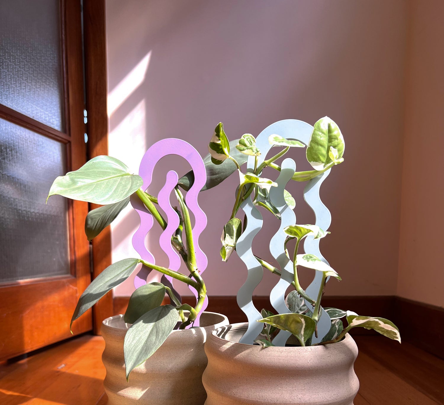 Metal - Plant Stakes