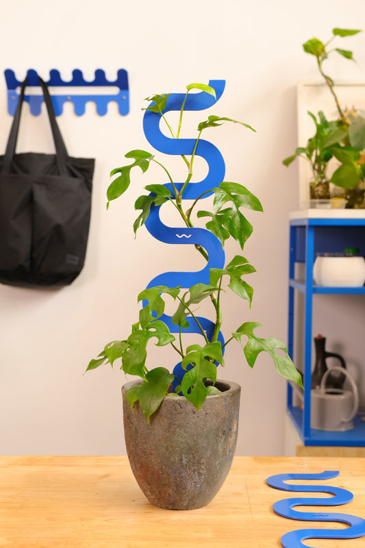 Boa III Medium Plant Stake - Cobalt