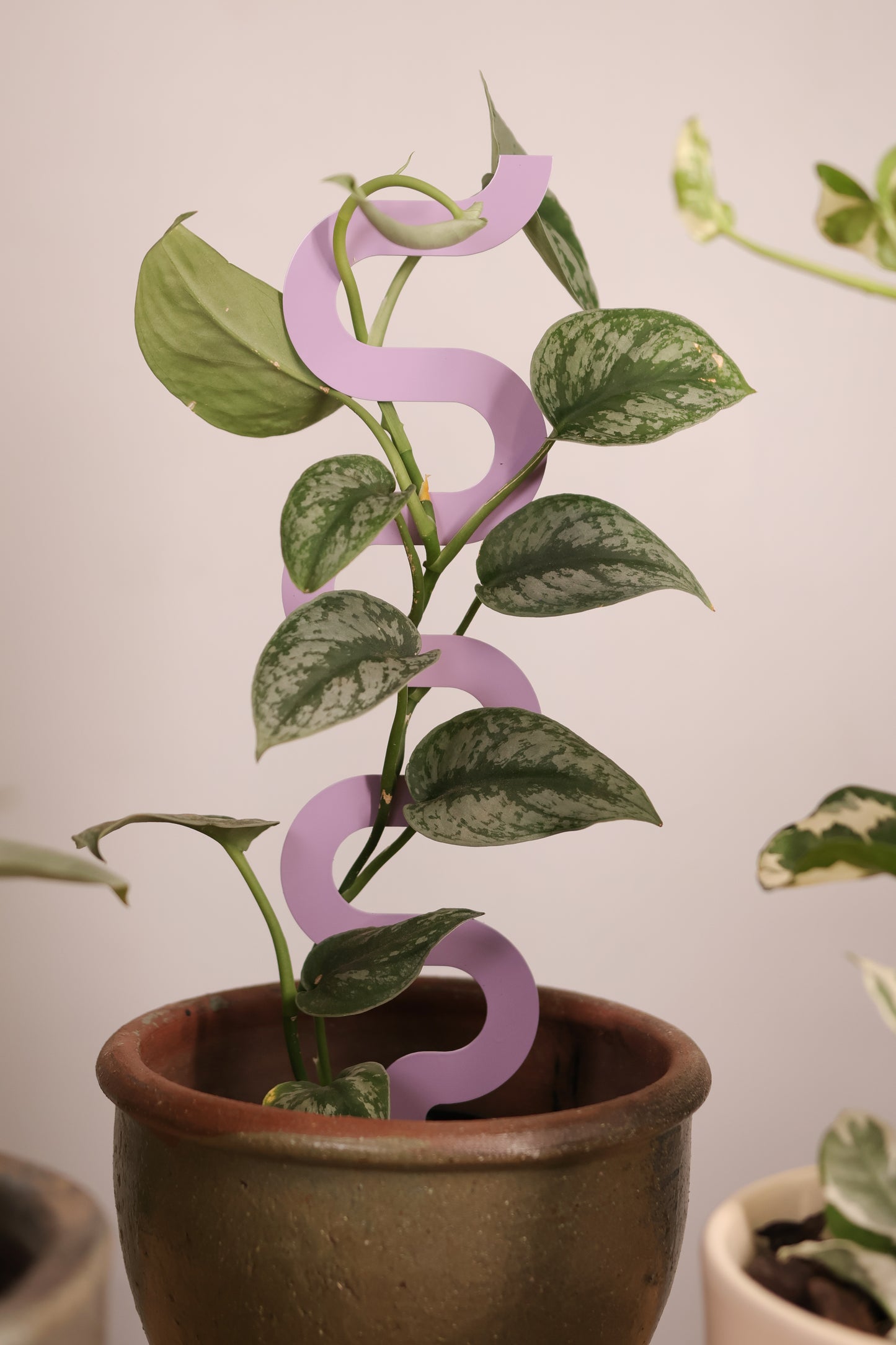 Bloom - Lilac - Sculptural Triple Pack