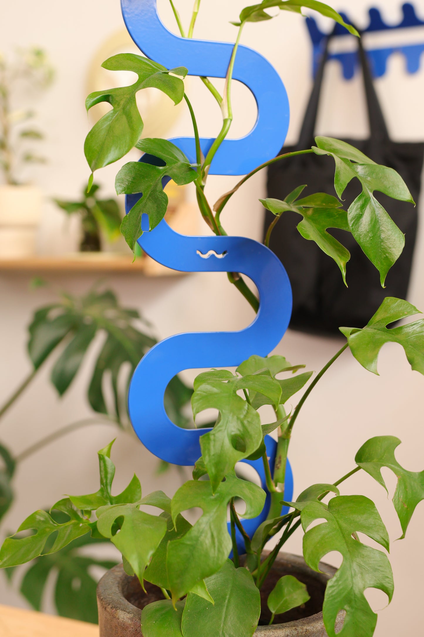 Boa III Medium Plant Stake - Cobalt