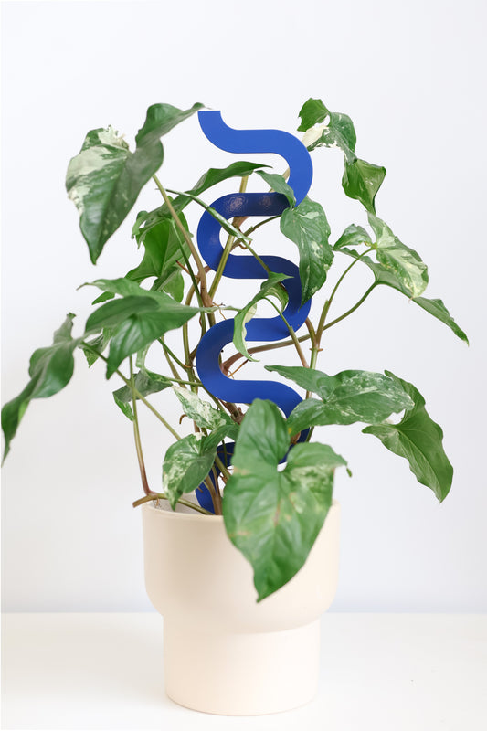 Boa III Small Plant Stake  - Triple Pack