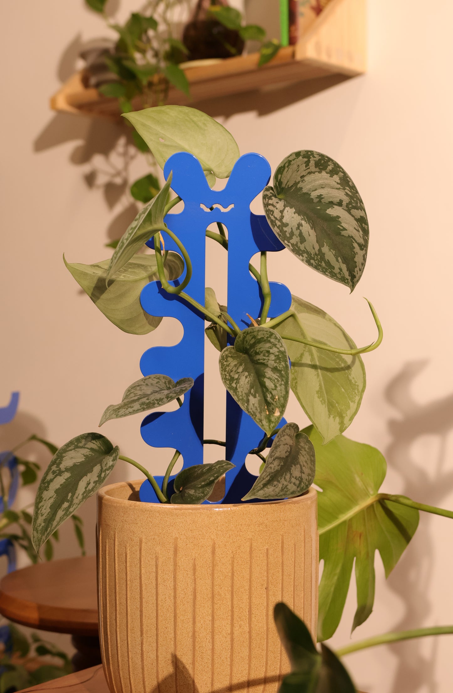Cascade - Bundle - Cobalt