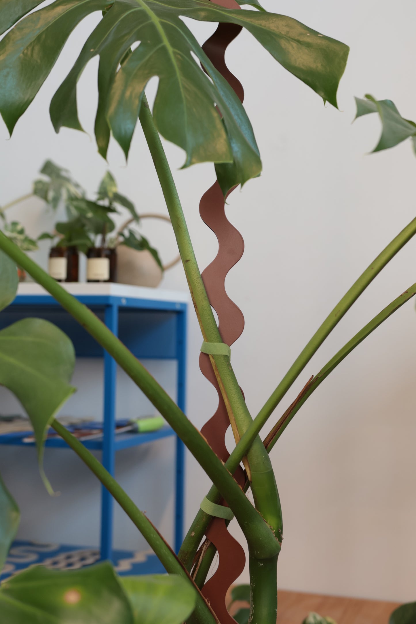 Wave III Plant Stake - Terrain - Collection - Metal