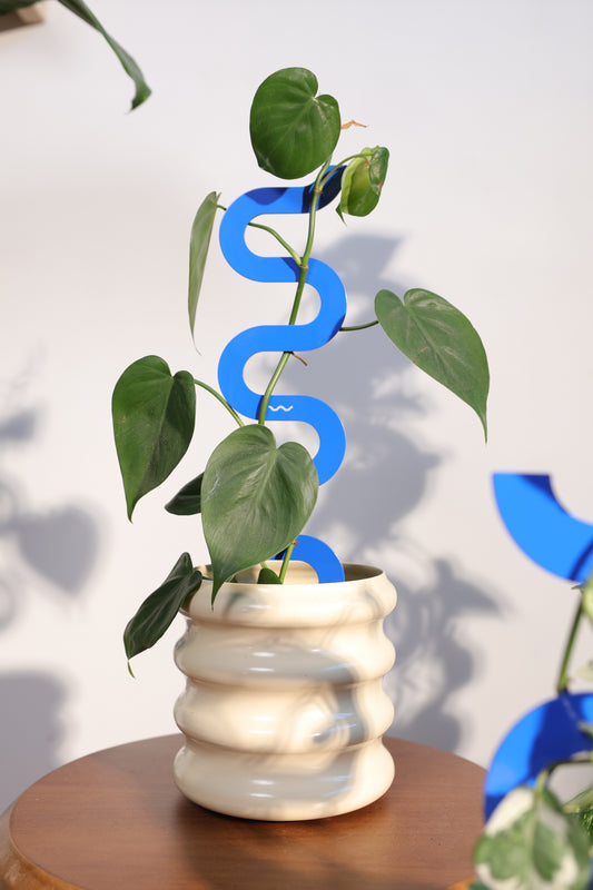 Boa III Small Plant Stake  - Cobalt
