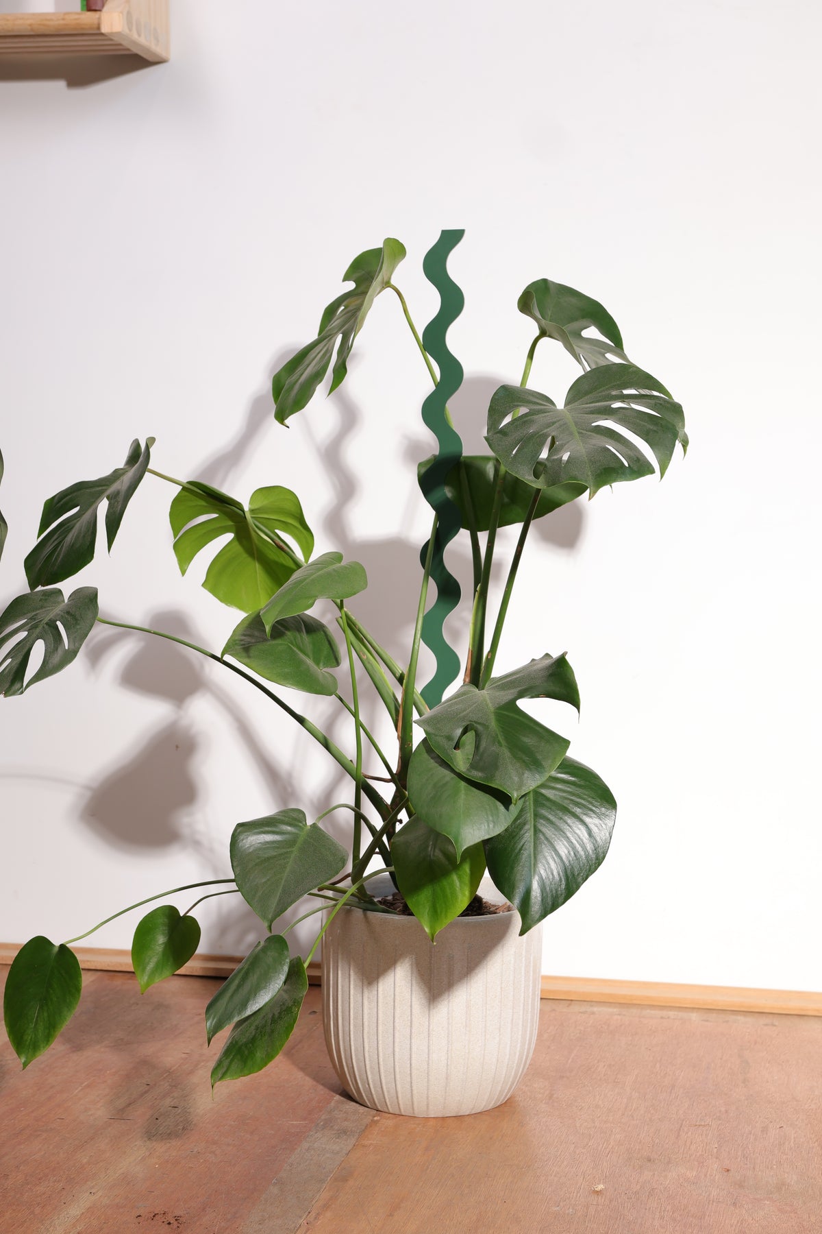 Wave III Plant Stake - Natives - Medium - Triple Pack