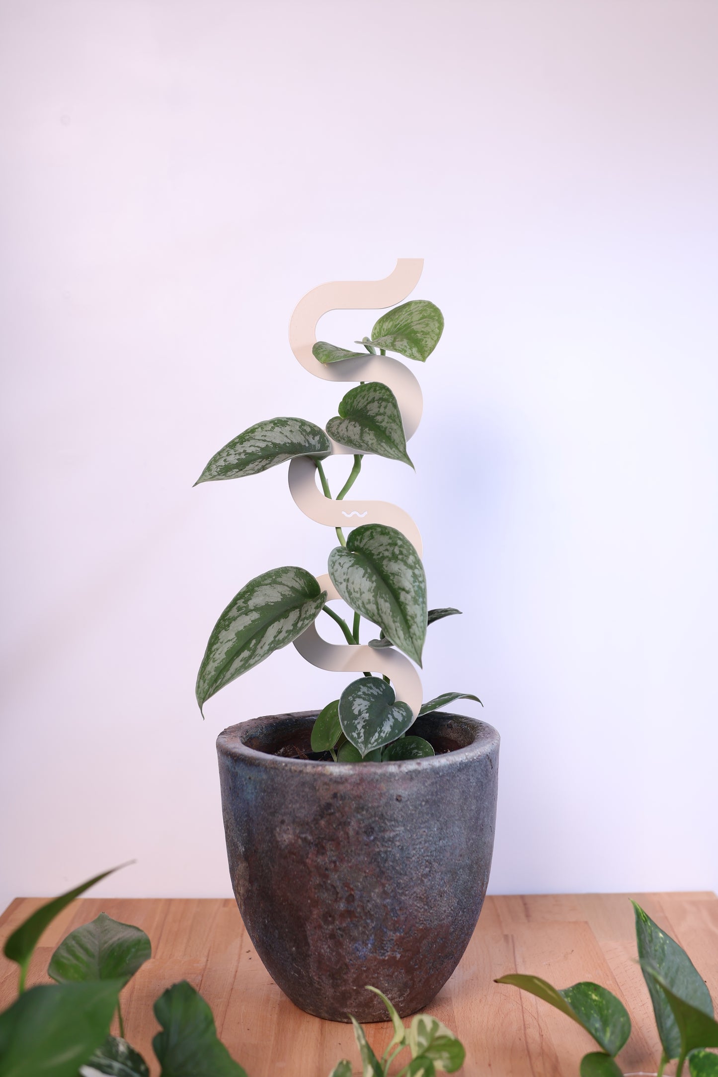 Boa III Small Plant Stake  - Paperbark