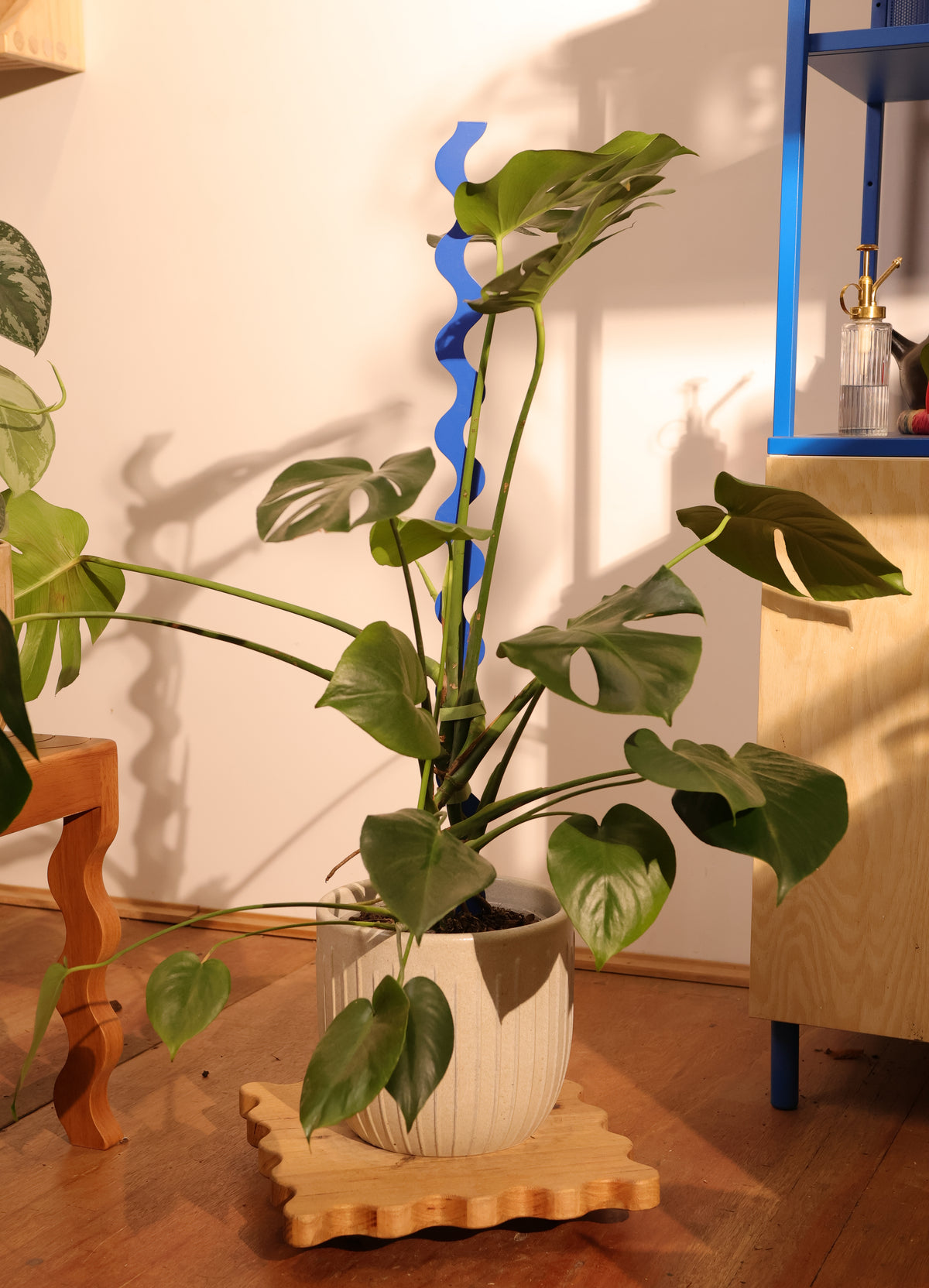 Wave III Plant Stake -  Capri Blue
